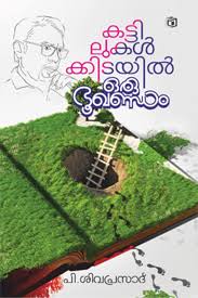 Kattilukalkkidayil Oru Bhookhandam (കാട്ടിലുകാൽക്കിടയിൽ ഒരു ഭൂഖണ്ഡം)