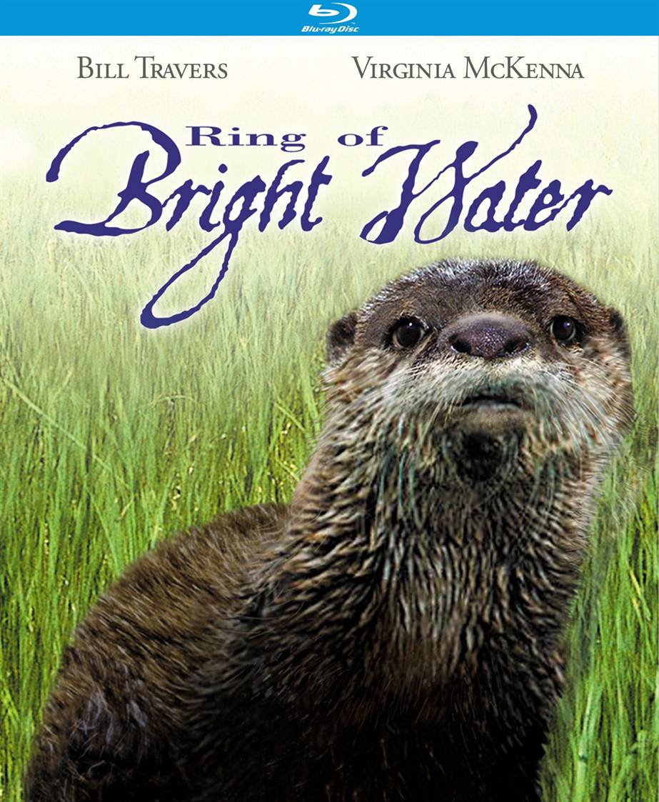 Ring of Bright Water, Original Vintage Film Poster| Original Poster -  vintage film and movie posters
