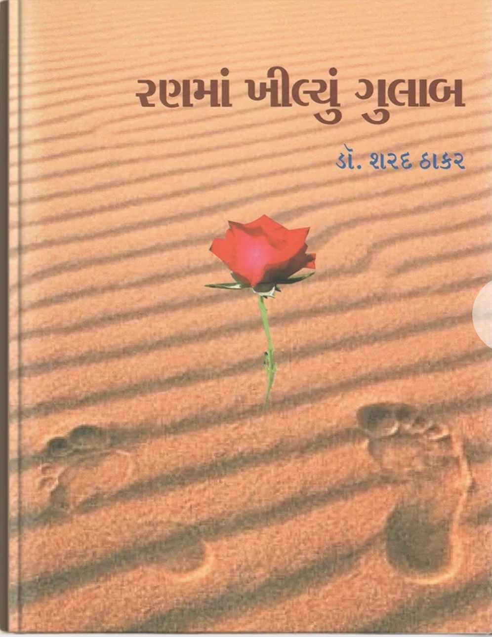Ranma Khilyu Gulab Vol - 2 (રણમાં ખીલ્યું ગુલાબ - 2)
