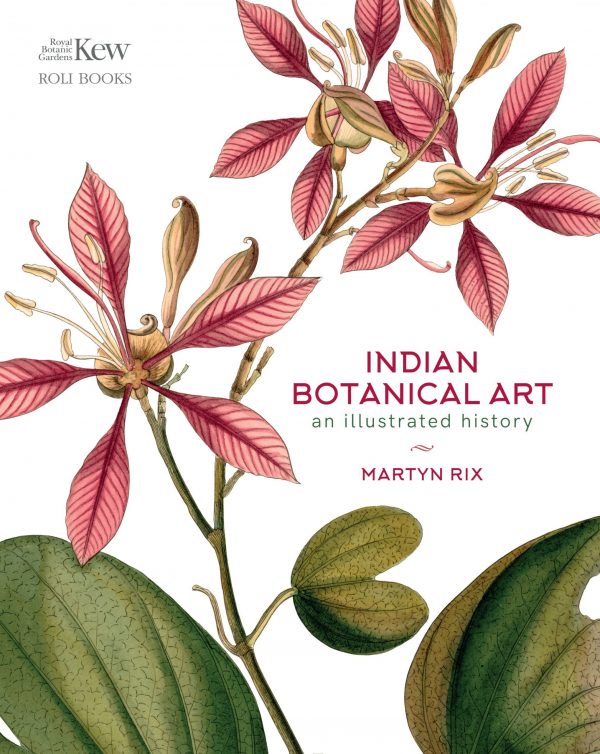 Indian Botanical Art : An Illustrated History