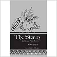 The Stormstories And Prose Poems