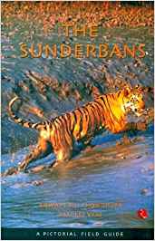 The Sunderbans