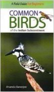 Common Birds Of The Indian Subcontinent